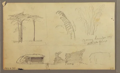 Kresba, Pohledy na východní břeh řeky Guayas naproti Guayaquilu, Ekvádor, květen 1857