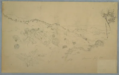 Kresba, Zalesněné údolí s velkým kapradím a vzdálenými horskými masivy, Jamajka, červenec 1865