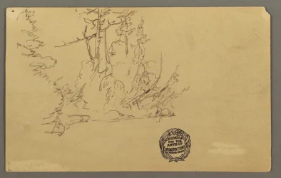 Kresba, Zalesněný břeh, pravděpodobně 1877