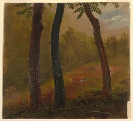 Kresba, Lesní scéna, Jamajka, 1865