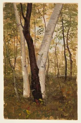 V lesích, Hudson, New York