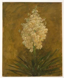 Penguin Plant   1258564   cs       czech Successfully Translated  Original: Herkules og Antaeus Translat: Herkules og Antaeus 1275956 cs czech Successfully Translated Original: John Translat: John 1238144 cs czech Successfully Translated Original: An Old S