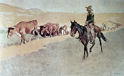 Trailing Texas Longhorns (olej na plátně)