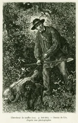 Hledač lanýžů. Rytina od Lixe k ilustraci příběhu A Through Alsace and Lorraine, Charles Grad, německý zástupce, v roce 1884, v tour du monde 1886, režie Edouard Charton (1807-1890), Hachette, Paříž.