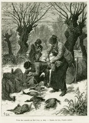Chytejte kachny do sítě. Rytina od Lixe, k ilustraci příběhu A Through Alsace and Lorraine, v roce 1887, Charles Grad, německý zástupce, v tour du monde 1888, režie Edouard Charton (1807-1890), Hachette, Paříž.