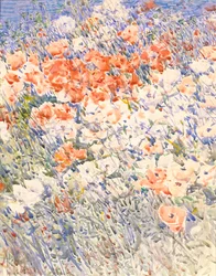 Ostrovní zahrada, 1892.