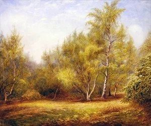 Epping Forest poblíž Buckhurst Hill (akvarel na papíře)