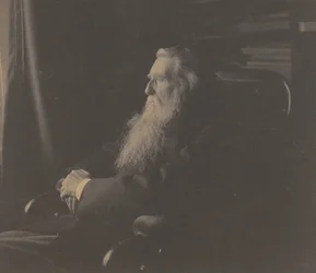 John Ruskin, c. 80. léta 19. století.