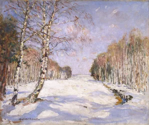 Stíny na sněhu, asi 1890-1918