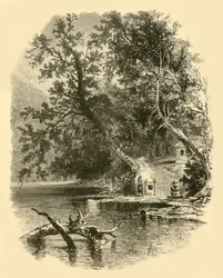 „Severní větev Susquehanna, v Hunlocks“, 1874.
