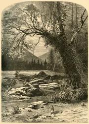 „The French Broad“, 1872.
