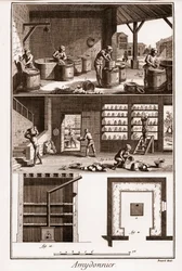 AMDONIER – Amydonnier – „“ Velká encyklopedie nebo Dictionnaire Raisonne des Sciences, des Arts et des Metiers“ (Encyklopedie nebo slovník věd, umění a povolání) od Denise Diderota (1713-1784) a Jean d