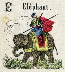 Abecedary. Písmeno E jako slon. Malá encyklopedická abeceda, populární série. Epinal imaging, konec 19. století