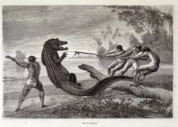 Lov na aligátora, Brazílie, „Cround the World““ 2. týden 1874.