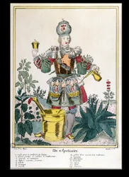 Lékárník (barevná rytina)