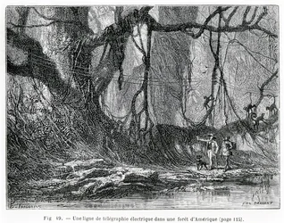 Elektrická telegrafní linka v americkém lese, kolem roku 1870 (rytina)