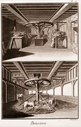 Brasserie – „Velká encyklopedie neboli Dictionnaire Raisonne des Sciences, des Arts et des Metiers“ (Encyklopedie nebo slovník věd, umění a povolání) od Denise Diderota (1713-1784) a Jeana d