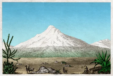 Sopka Chimborazo. (rytina, cca 1840)