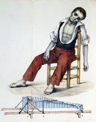 Cholera Morbus, ze vztahu, historie, statistiky a medicíny Cholera-Morbus od Francisca dAssis de Souza Vaz, 1833