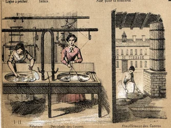 Popis plodiny a hedvábných produktů: pracovníci spřádají hedvábí, odstraňují nebo dusí kokony. Talíř “” la soie”” v “” les Recreations instructives”” Synoptický obraz od Julese DELBRUCKA, rytina z roku 1860. Soukromá sbírka.