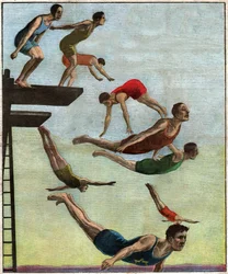 Potápění