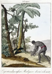 Výstava dítěte Madegasse zasvěceného smrti. 1811