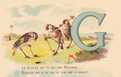 G: Lakros je hra chlapců; velká je v této hře radost ptáků.