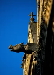 Katedrála Gargoyle of Laon v Aisne (02)