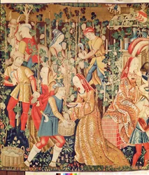 Sběr hroznů, detail sklizně hroznů