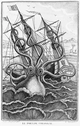 Obří chobotnice, ilustrace z LHistoire Naturelle Generale et Particuliere des Mollusques od Denyse-Montforta, c. 1802-03