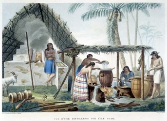 Palírna ostrova Guam.