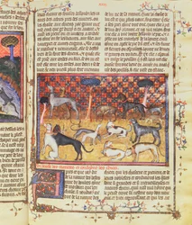 Lovečtí psi od Gastona III, Comte de Foix Phebus le Chasseur (1331-91), z Livre de la Chasse, 1387-89 (kvaš na pergamenu)
