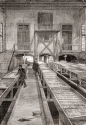 Interiér rybí farmy z 19. století v Huningue, Francie, z Les Merveilles de la Science, vydáno kolem roku 1870 (rytina)