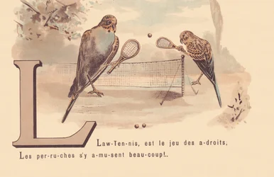 L: Lawn-Tennis je hra chytrých; Papoušci se baví!