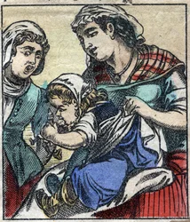 Lemuel Gulliver v Payx des Gants de Brobdingnag. Ilustrace pro „“ Gulliver