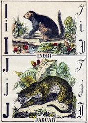 Dopis I Indri (Lemurien); J Jaguar. Gravírování v „“Abeceda zvířat sauvages““. 9. série. Obrázky Epinal, Pellerin, tiskárna-nakladatel, kolem roku 1870. Rytiny na dřevě, šablona. 16 stran. Rozměr: 20 x 15 cm. Soukromá sbírka