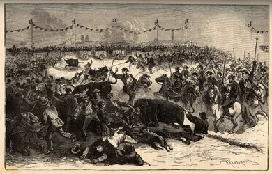 Značení dobytka - La ferrade en Camargue (slavnost pořádaná během marquarge au fer rouge du dobytek) - rytina „“ PATRIE““ - PECTUREQUIREQUE POPIS FRANCIE V 6 SVAZTECH LUCIEN HUARD - konec 19. století