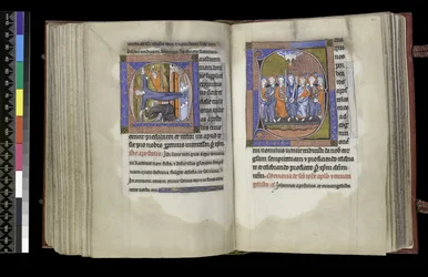 MS 300 f.200v-201r, Volební právo pro svatého Ondřeje a Volební právo pro apoštoly, z žaltáře a hodin Isabely Francouzské, Paříž, c.1265-70
