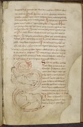 Různé práce o počítačích a astronomii, Royal MS 13 A XI