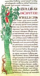Ms 173 f.41 Historická iniciála I zobrazující mnicha a laika, jak kácí a prořezávají strom, z Moralia in Job od papeže Řehoře Velikého