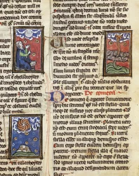 Komety Ms 320 Fol.197, z „The Nature of Things“ od Thomase van Cantimpre (1201-72) (na pergamenu)