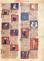 Monsters Ms 320 Fol.45r, z „The Nature of Things“ od Thomase van Cantimpre (1201-72) (na pergamenu)