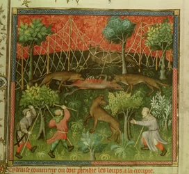 Paní Fr 616 fol.111 Lov vlka pomocí sítí, z Livre de la Chasse od Gastona Phebuse de Foix (1331-91)