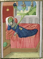 Ms H 7 fol.145r Strom Jesseho, z Bible Jeana XXII