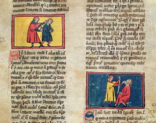 Paní H 89 Lékaři a pacienti, z edice Book of Surgery od Rogiera de Salerne