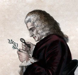 Portrét Bernarda de Jussieu (1699-1777), francouzského přírodovědce.