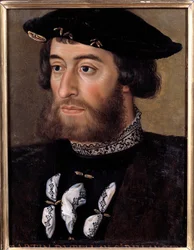 Portrét Guillauma de Bellay, lorda z Langey (1491-1543) Byl guvernérem Turína a Piemontu. Anonymní malířství 16. století. Rozměr 0,32x0,23m. Versailles, paláce ve Versailles a Trianon - Portrét Guillauma de Bellay, lorda z Langey (1491-15