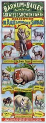 Plakát inzerující Collection de Rares Animaux Sauvages pro cirkus Barnum a Bailey