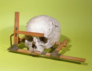 Lebka v obličejovém goniometru zkonstruovaná Paulem Brocou (1824-88) (dřevo a měď)