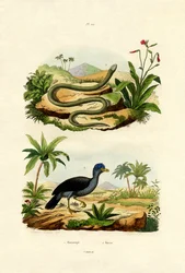 Had, 1833-39